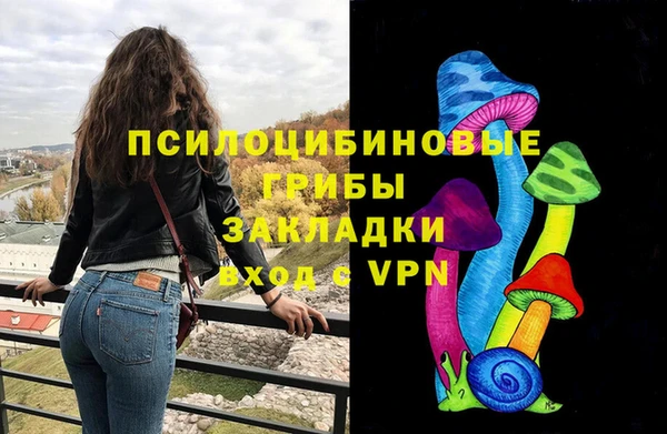 мдпв Богданович