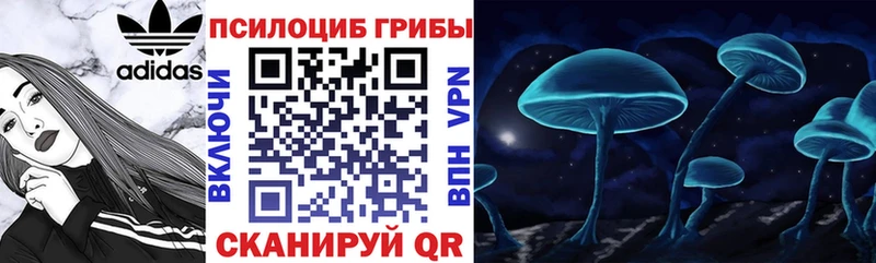 MEGA как войти купить цена Биробиджан Галлюциногенные грибы GOLDEN TEACHER